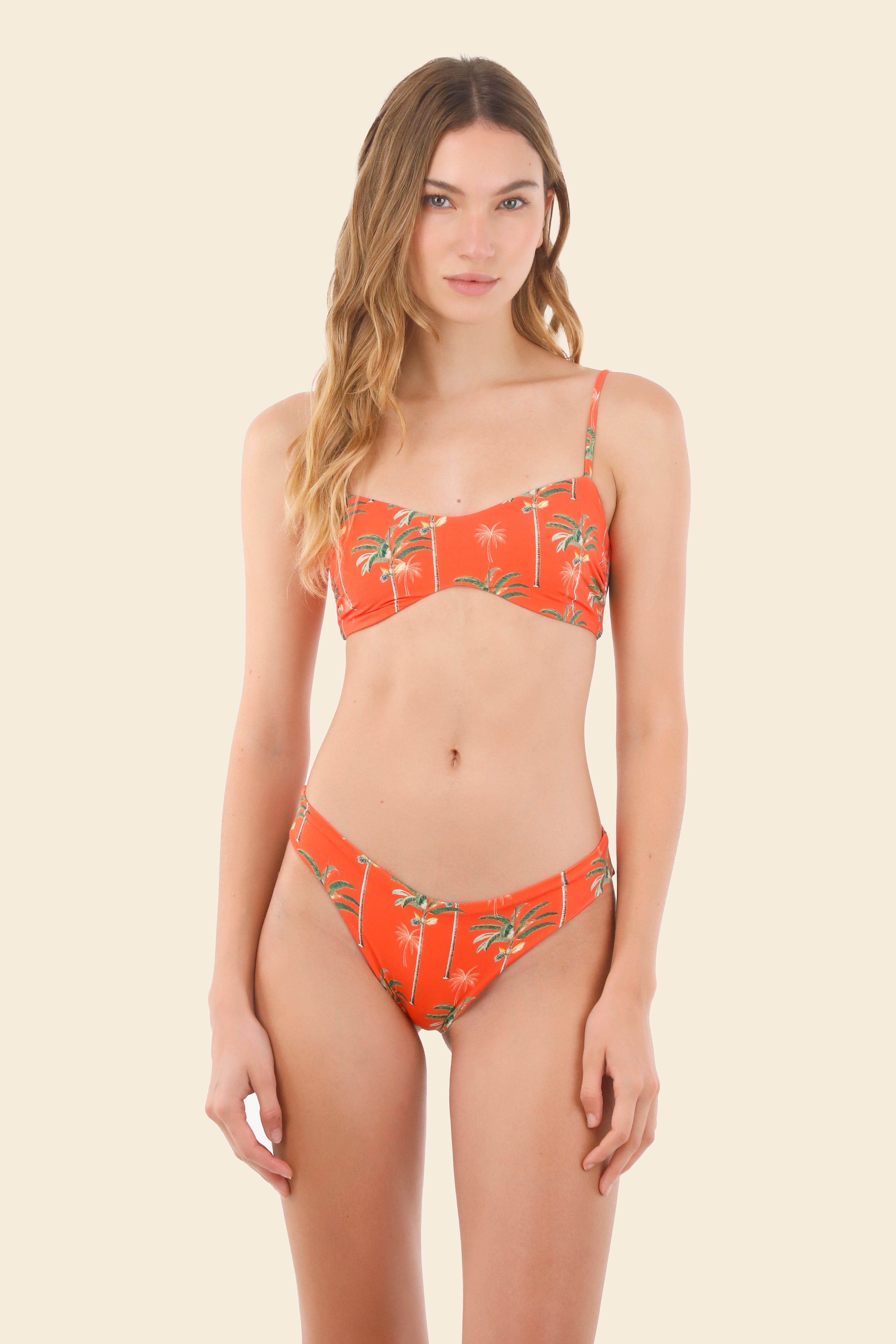 Summer Palms Halo Top
