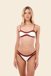 Barn Red Color Blend Array Bottom