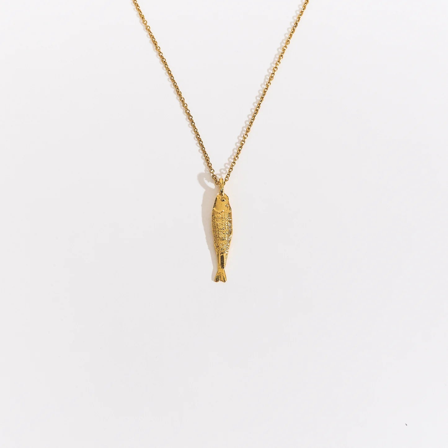 Collar Boqueron Mini Dorado